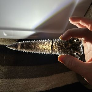 Knapped pine tree point, obsidian.